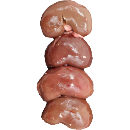 Lamb Kidney Kg